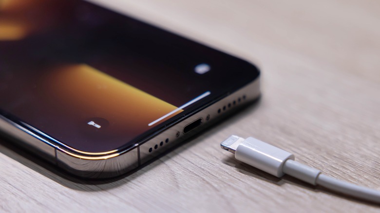 An iPhone's Lightning port and cable.