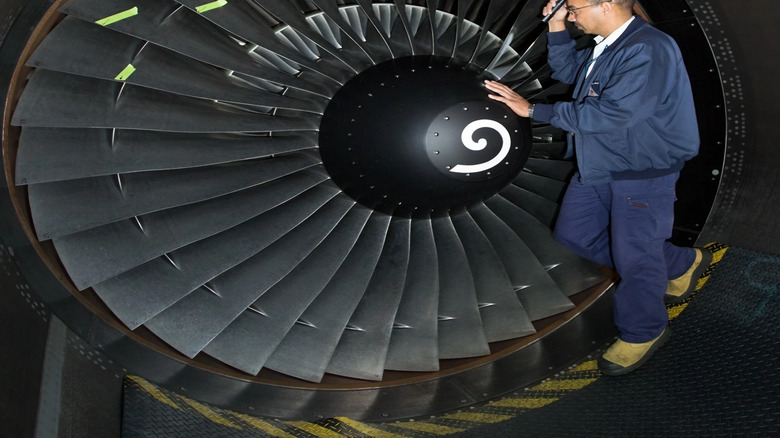 inspection of the fan blades of an A330 engine
