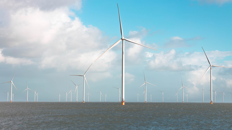 An offshore wind farm in The Netherlands
