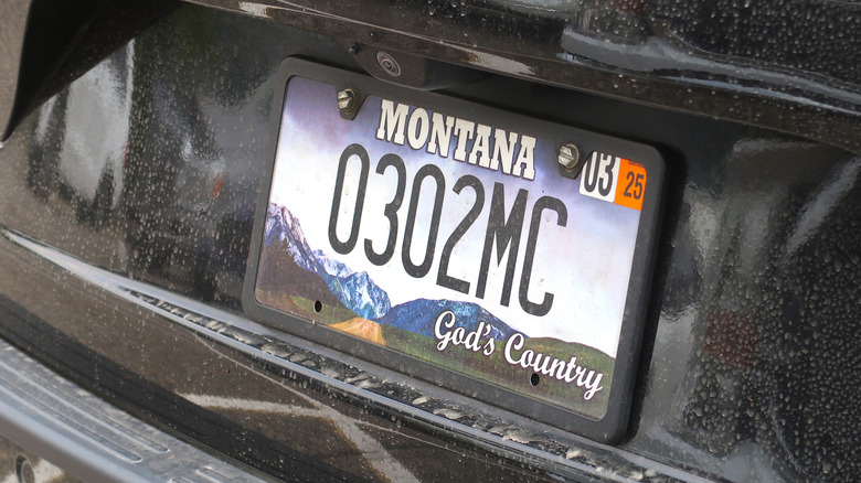 Close-up view of Montana license plate on black SUV.