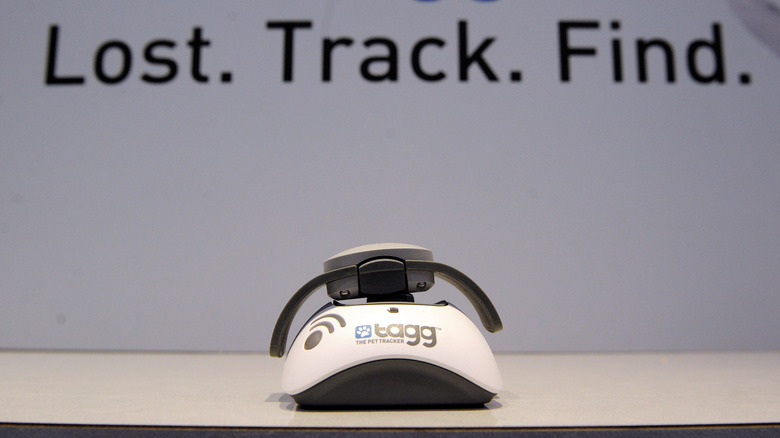 Tagg The Pet Tracker on display
