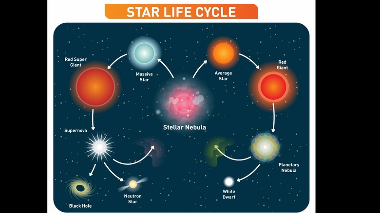 star life cycle infographic 