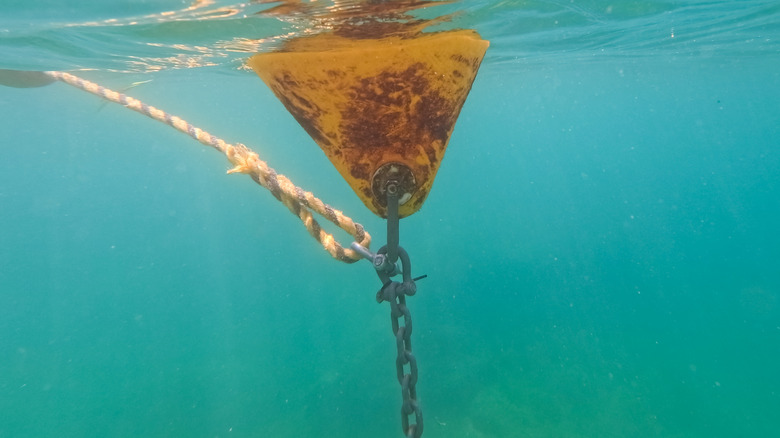 A metal chain keeping a buoy anchored below the water.