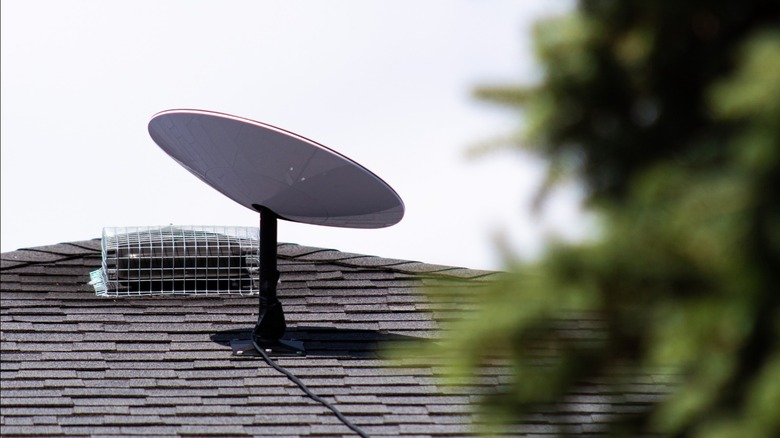 Starlink terminal and satellite dish