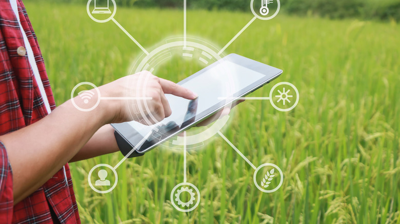 man using smart irrigation system
