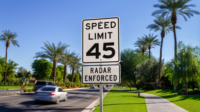 A 45 MPH speed limit sign on a road lined with palm trees on a sunny day