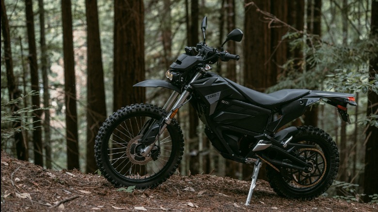Zero FX in forest