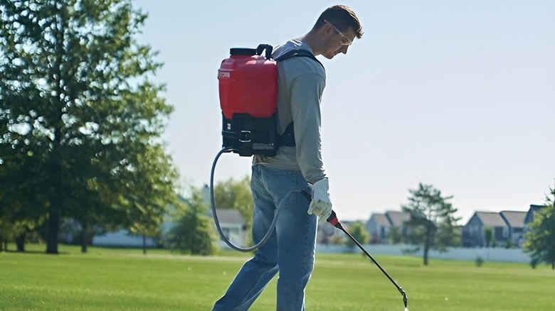 Man using Craftsman 20V backpack sprayer on yard