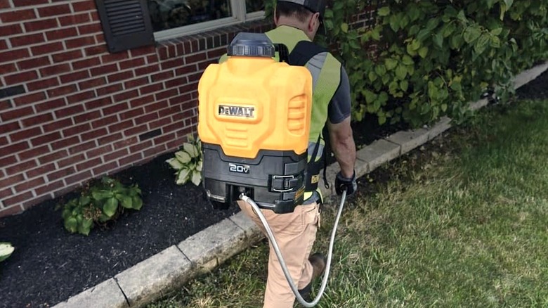 A person using DeWalt backpack sprayer in a garden