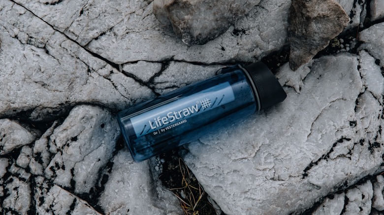 LifeStraw Series Go on a rock