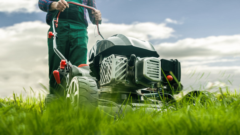 Man Mowing Lawn