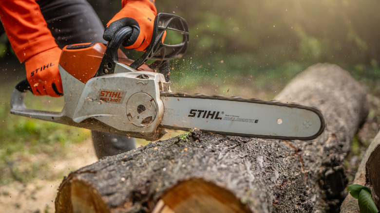 A person using a Stihl chainsaw to cut through a large log