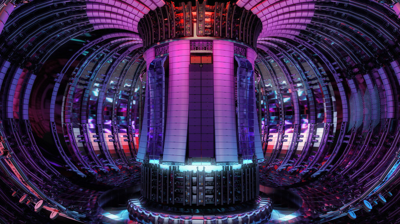 Inside a tokamak nuclear reactor