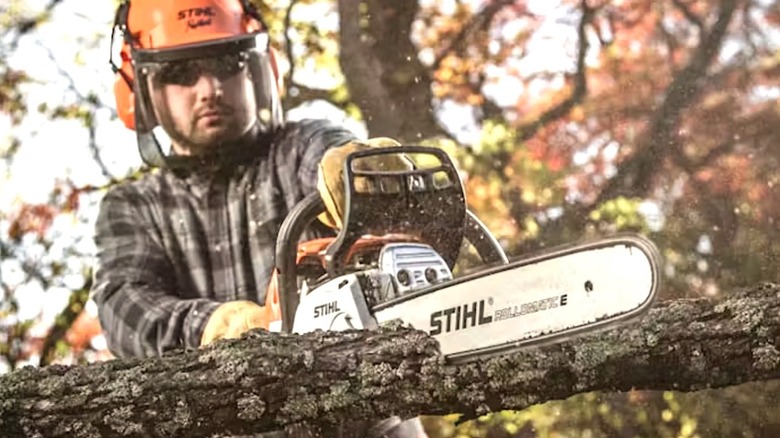 Person using Stihl chainsaw