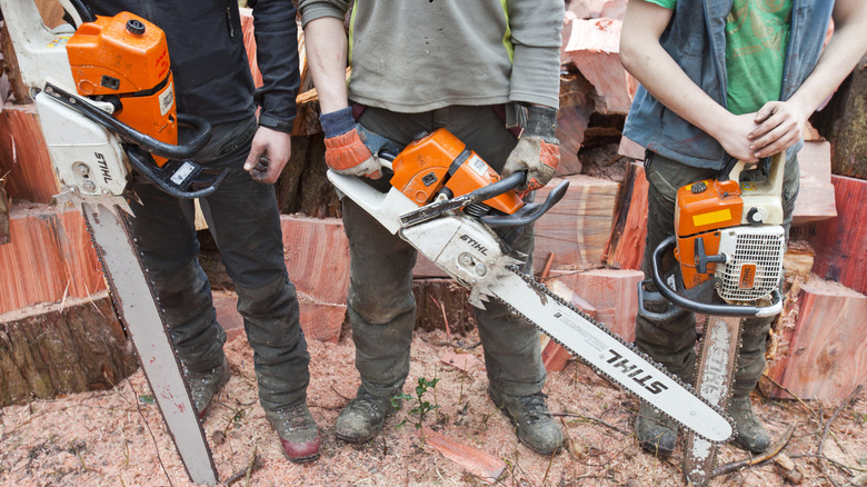 Woodcutters holding Stihl Chainsaws
