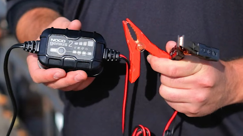 Person holding a trickle charger and connecting cables