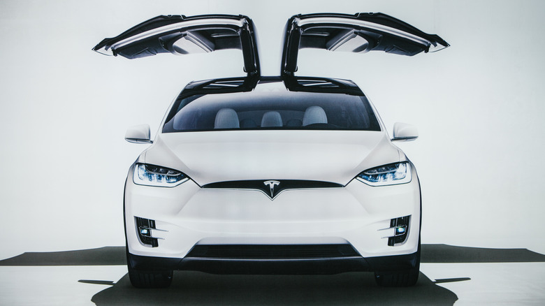 Model X with doors open