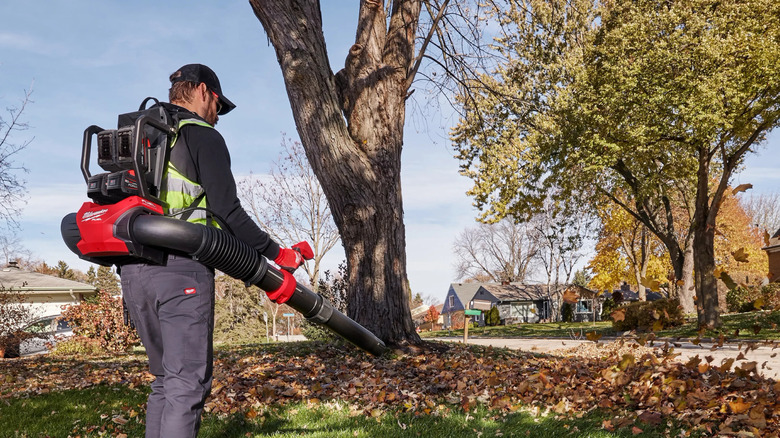 Blowing leaves with the Milwaukee M18 Fuel dual battery backpack blower