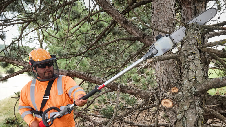 Cutting a branch with a Milwaukee M18 Fuel Quik-Lok pole saw