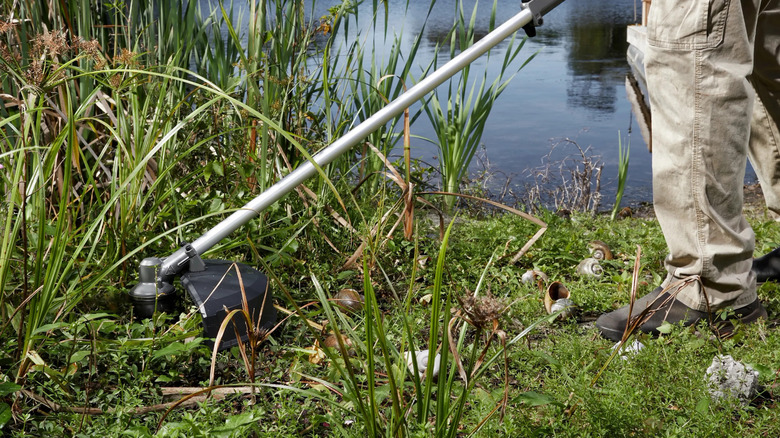 Milwaukee M18 Quik-Lok brush cutter attachment trims overgrowth near a pond