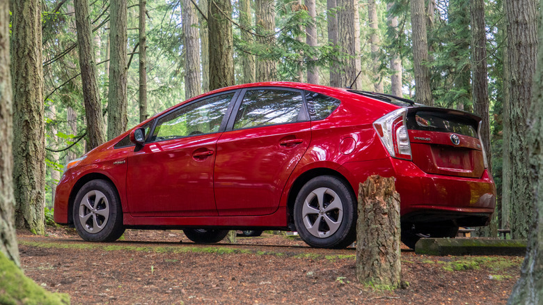 Toyota Prius in forest