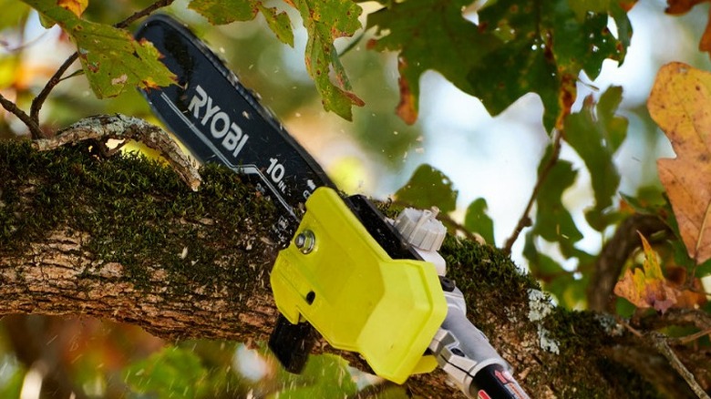 Close up of Ryobi pole saw cutting branch