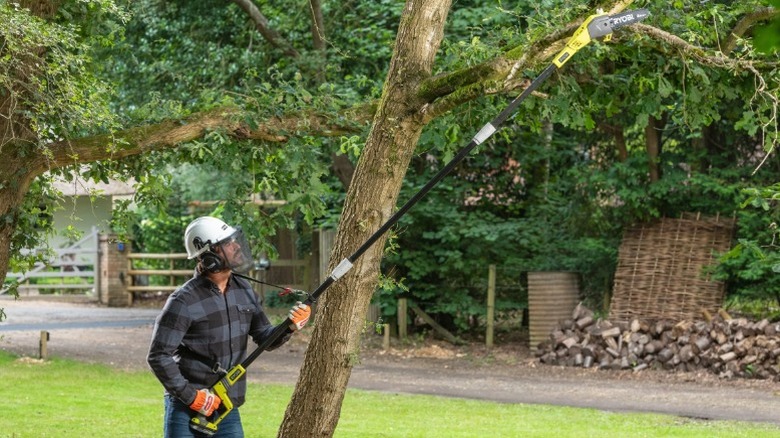 Man using Ryobi pole saw to cut branch
