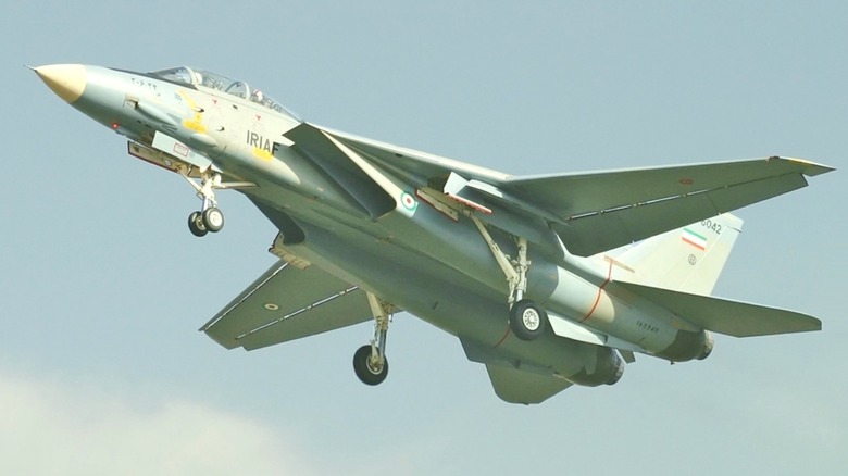 An F-14A Tomcat of the IRIAF