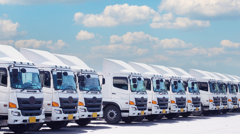 row of parked white semi-trucks