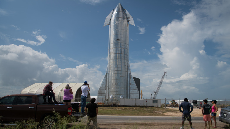 people looking at SpaceX Starship