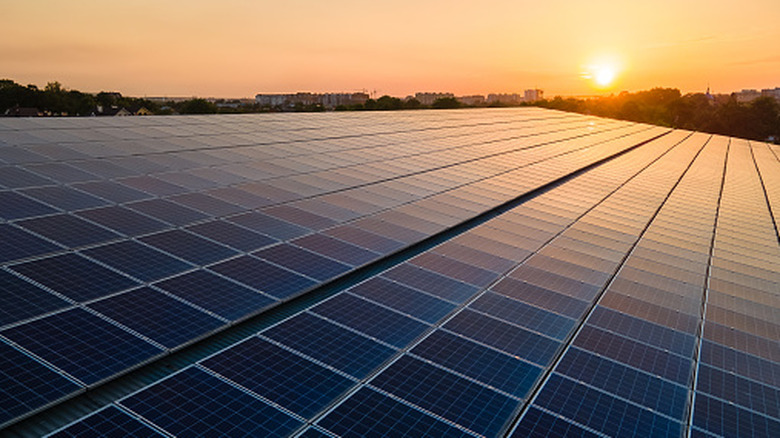 A large area filled with solar panels