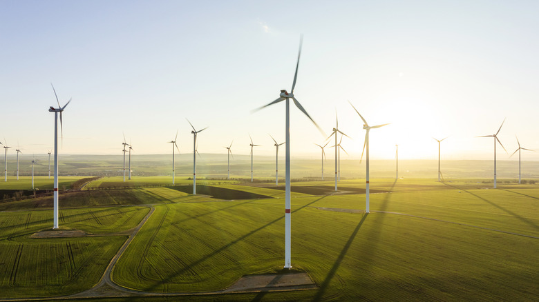 A wind farm surrounded by farmland