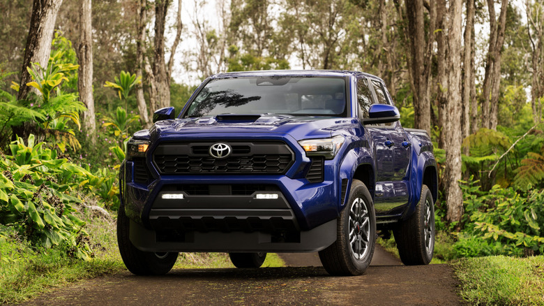 Toyota Tacoma parked in the woods