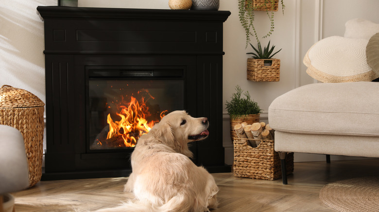 A golden retriever dog sitting near fireplace