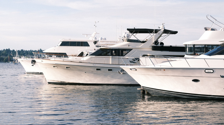 Docked yachts