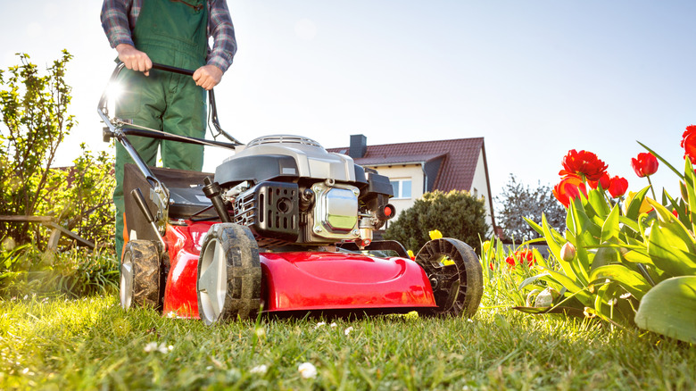 Close-up of a person wearing green overalls cutting their lawn with a red push mower