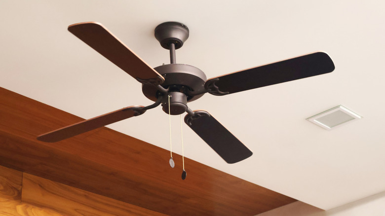Wooden ceiling fan on white ceiling