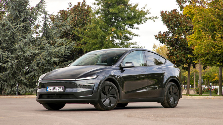 A gray Tesla Model Y parked in front of a line of trees.