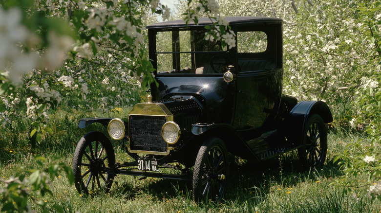 A 1915 Ford Model T among blossoming trees