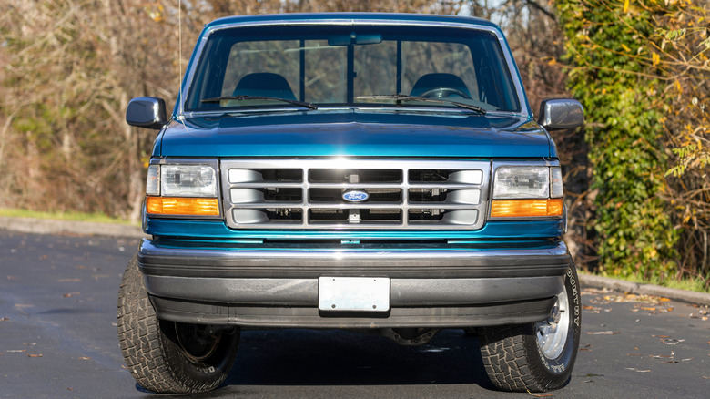 1995 base-model Ford F-150 standard cab with brush in background, front-view