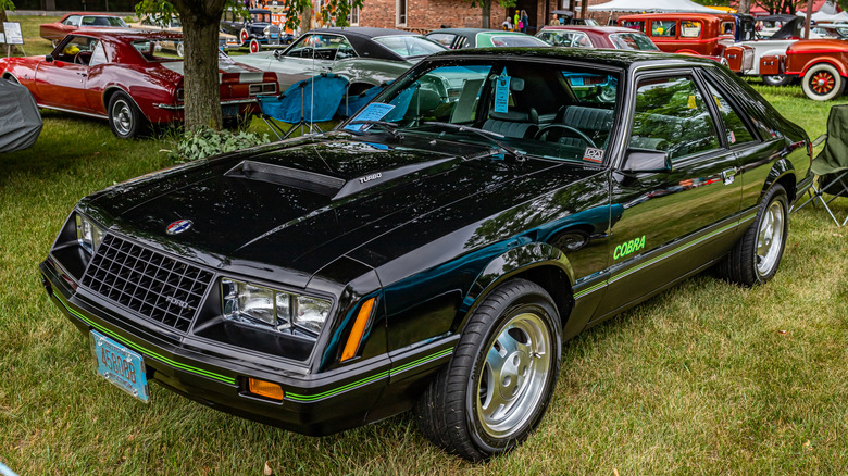 A close up of a black 1979 Ford Mustang Cobra on a lawn surrounded by other classic cars.