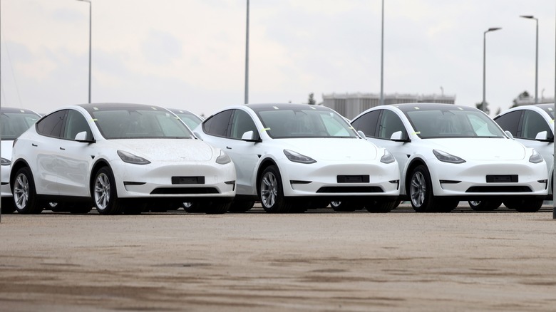 Tesla Model Y parked dealer