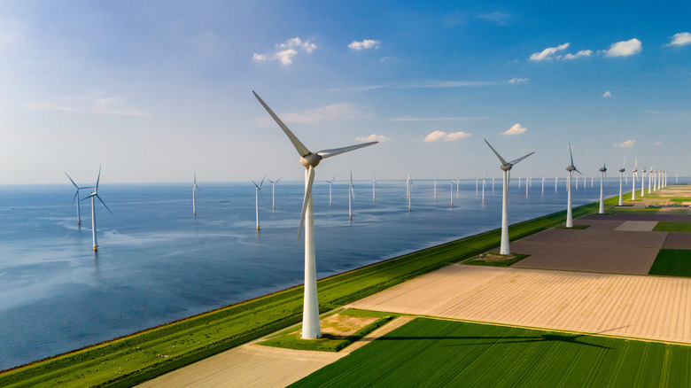 An aerial view of wind turbines in the Netherlands