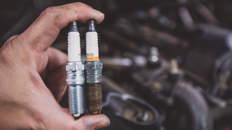 hand holding spark plugs