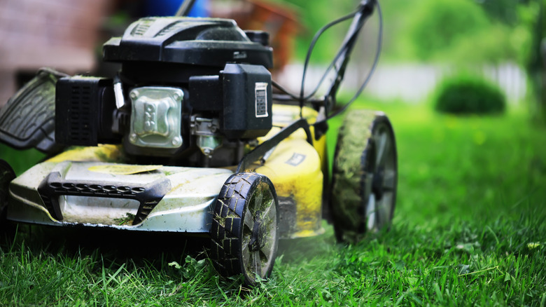 lawn mower actively cutting grass