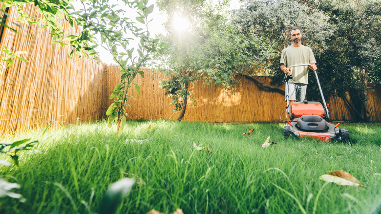 A man using a push mower to cut his grass