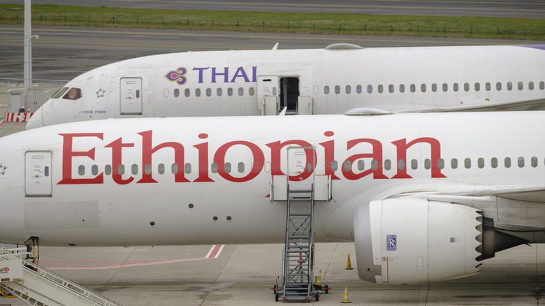 Two Boeing 787 Dreamliners on runway.