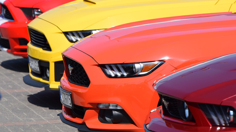 Lineup of Mustangs showing close-up of left-side front quarter panels