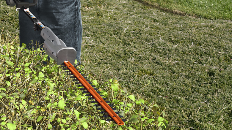 Using the Expand-It Hedge Trimmer Attachment