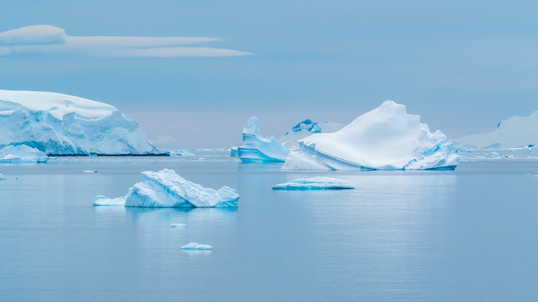 Icebergs near Antarctica